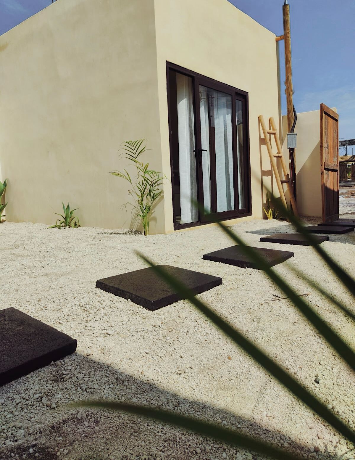 Macarena El Paredón